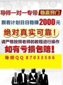 2024年天天彩资料免费大全，精选解析、深入解释与有效落实