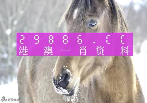 澳门一肖一码一特一中挂，解析与精选解释
