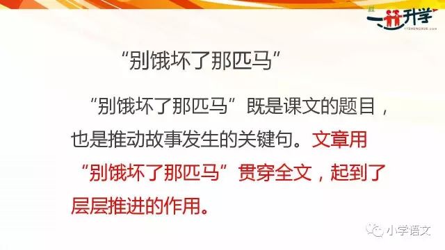 关于澳门今晚特马开什么，全面解析与贯彻解释落实的文章