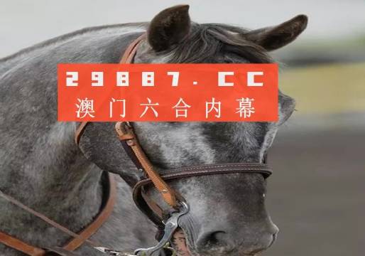 澳门一肖一码，揭秘预测准确性背后的真相与全面释义解释落实