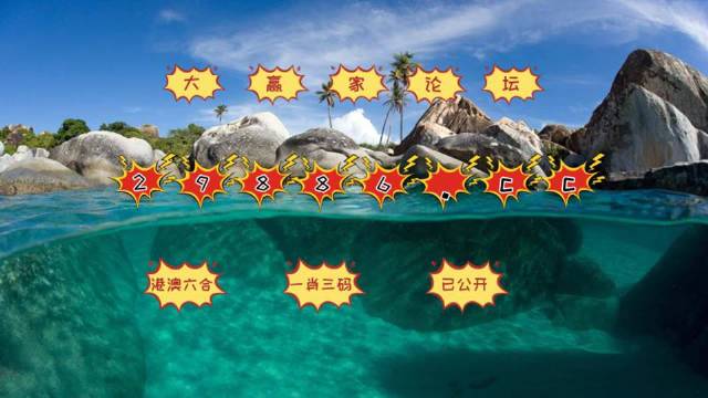 澳门天天开好彩，开奖结果分析与实用释义解释落实