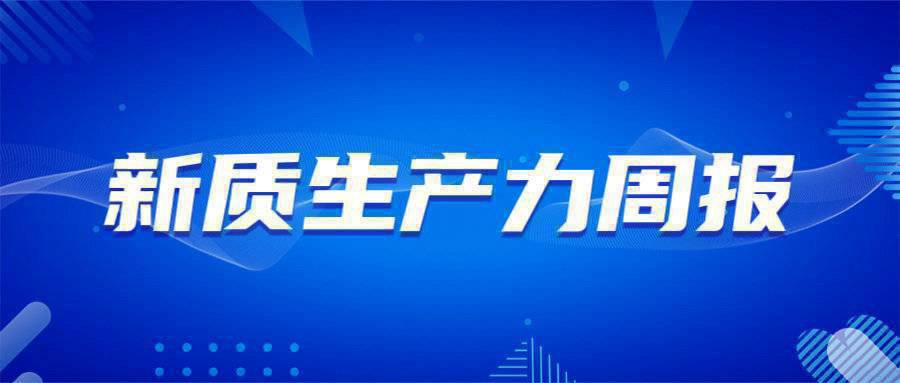 新澳门2024年正版免费公开，实现与落实的探讨