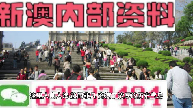 澳门最精准免费资料大全旅游团，全面贯彻落实与深度解读
