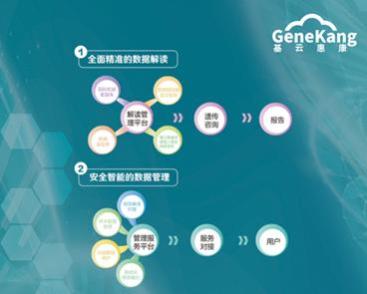 澳门一肖100准免费，深度解读与实际应用