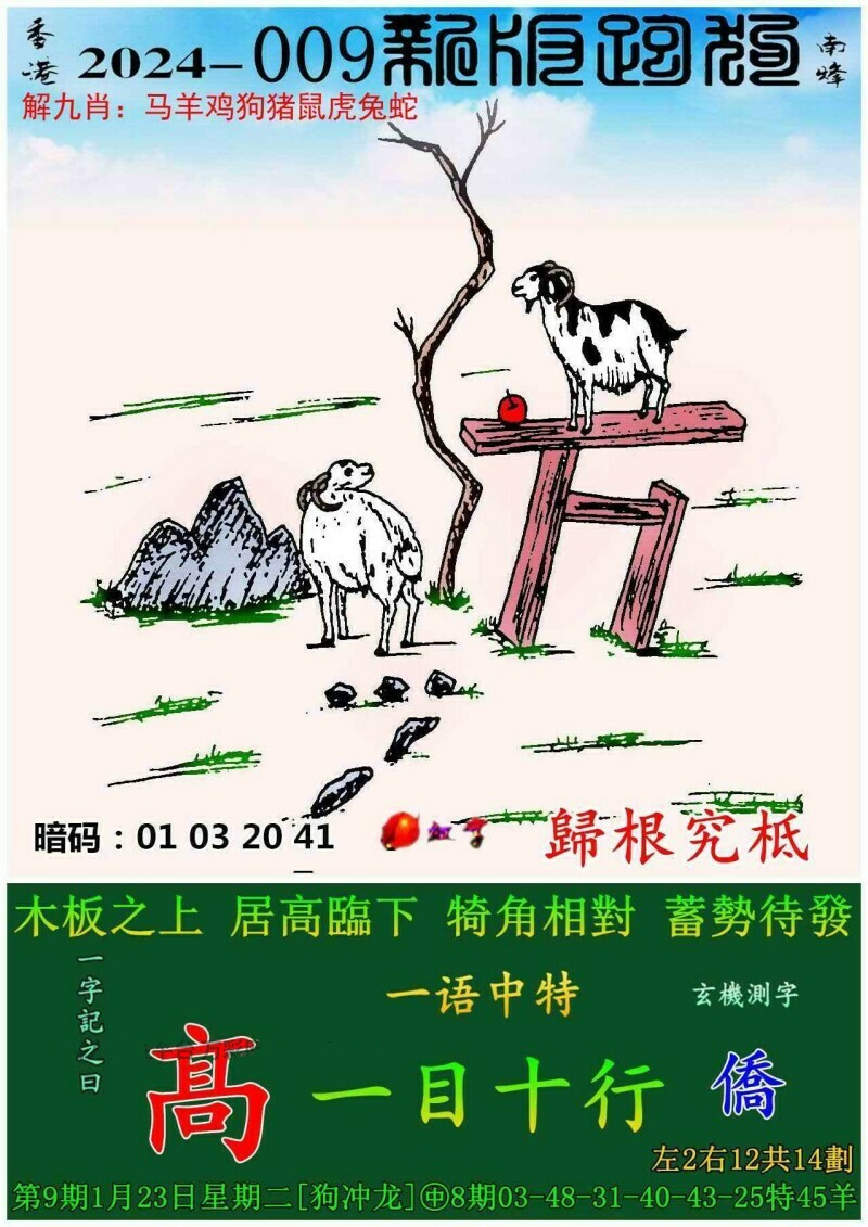 探索精准跑狗图，专横释义与落实解析