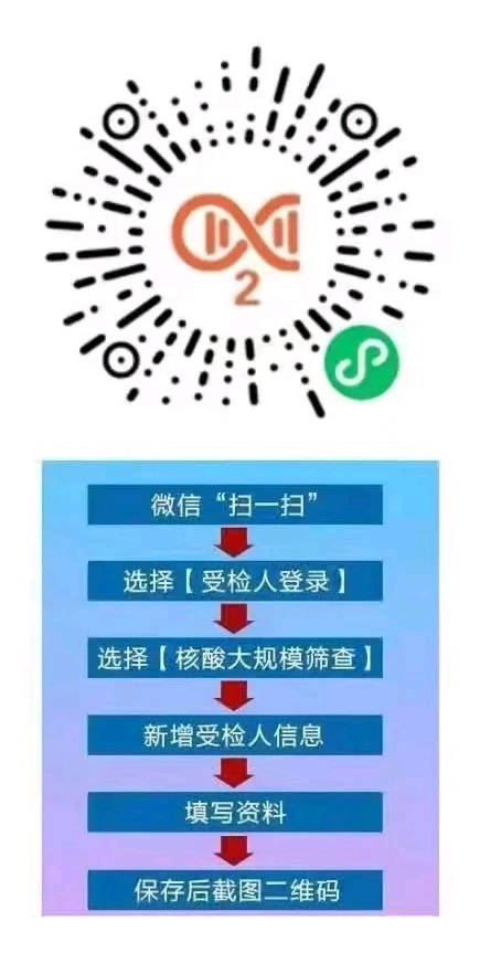 一肖一码免费公开，深度解读与实际应用