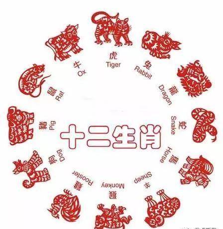 最准一肖一码，揭秘生肖彩票中的特殊秘密与观点解读