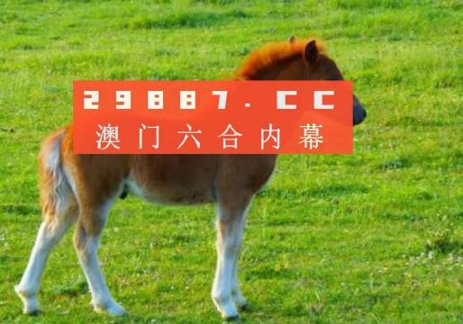 澳门今晚必中一肖一码恩爱一生，增长释义、解释与落实
