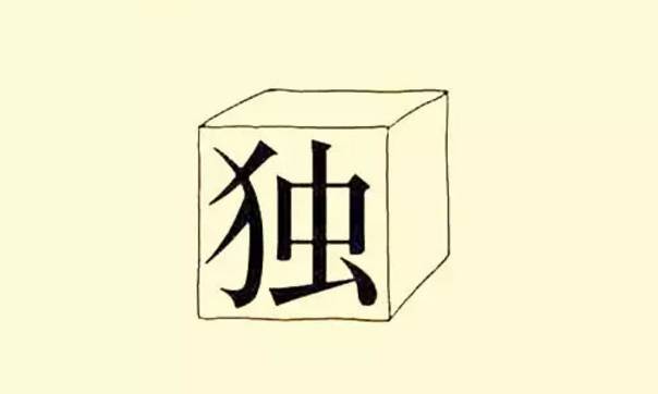 揭秘最准一码一肖，科学解答与正确理解