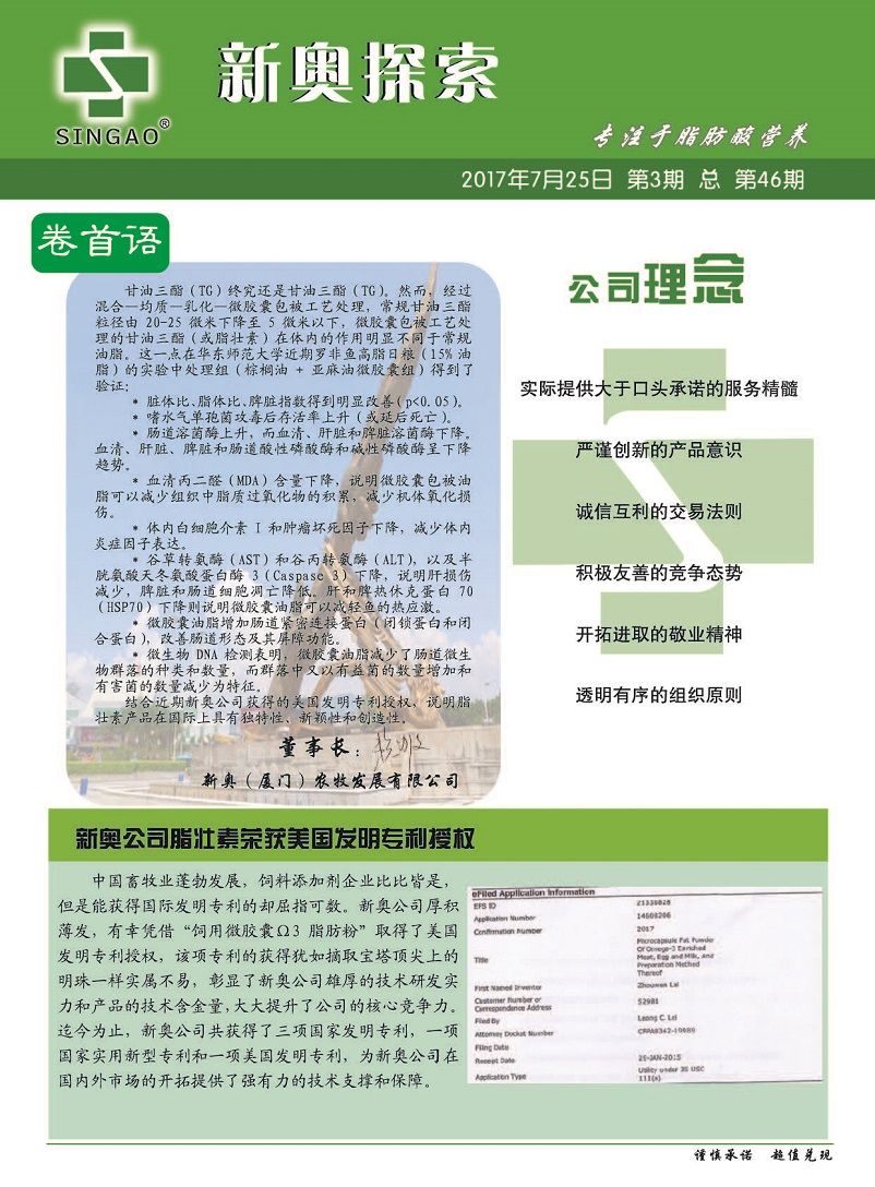 新澳2025年最新版资料解读与落实策略，构建解答解释体系的重要性