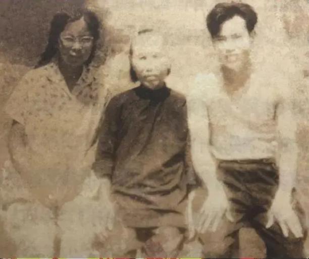 澳门四不像正版揭秘，深度解读与详细解答