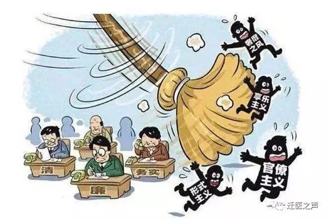 一码一肖，精准解答与资料落实的重要性